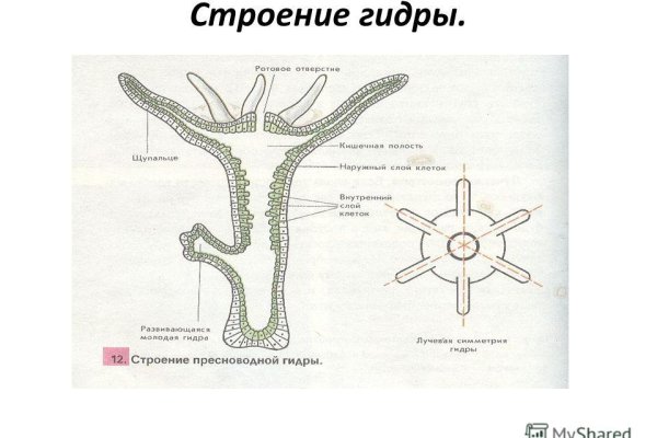 Кракен даркмаркет плейс официальный сайт