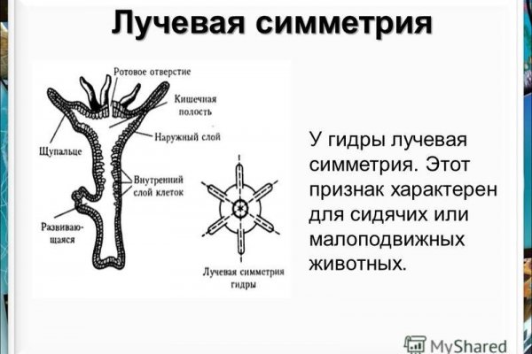 Кракен современный маркет